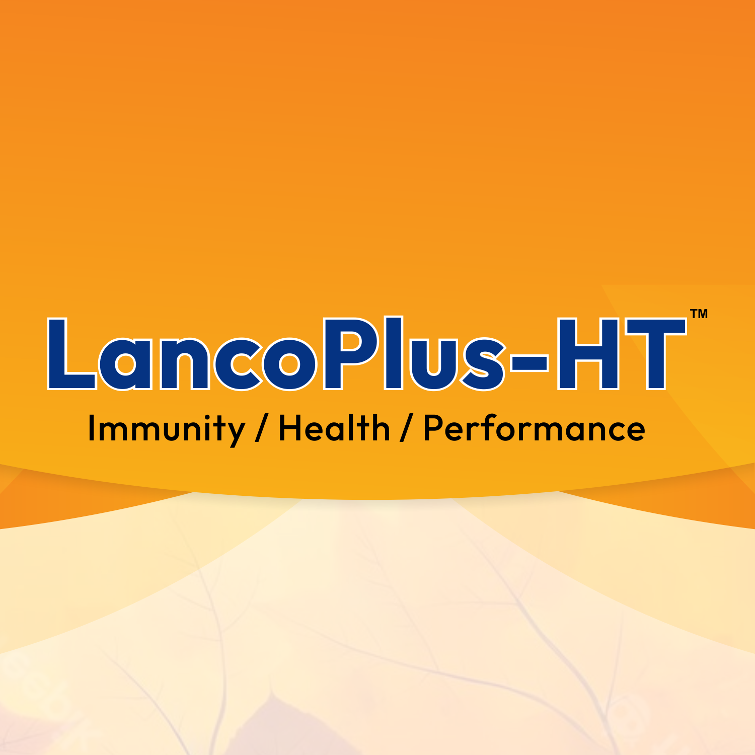 LancoPlus-HT