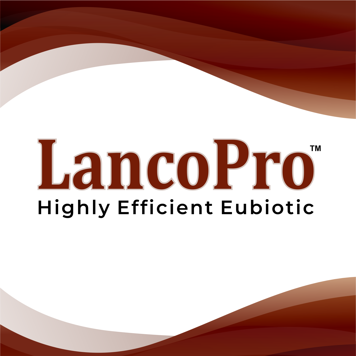 LancoPro