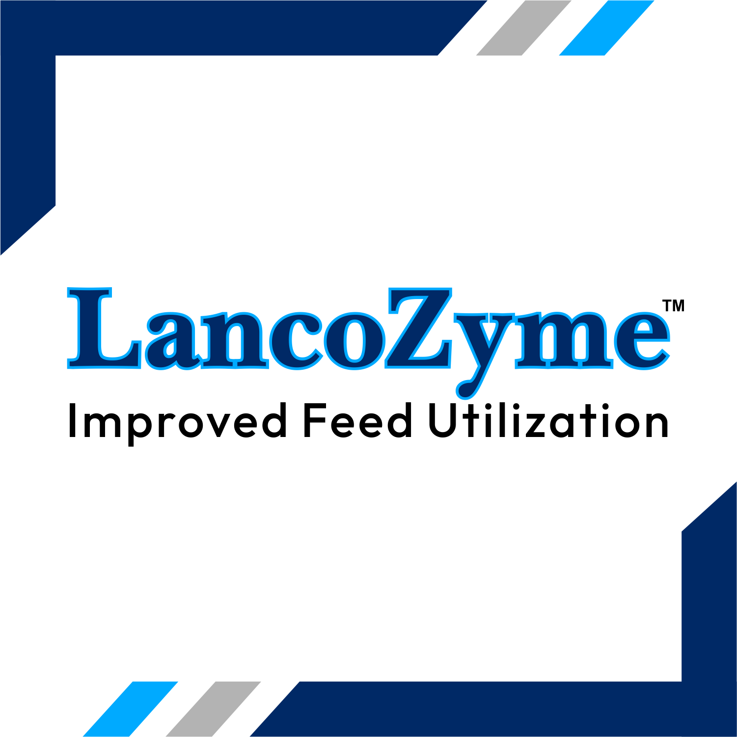 Lancozyme