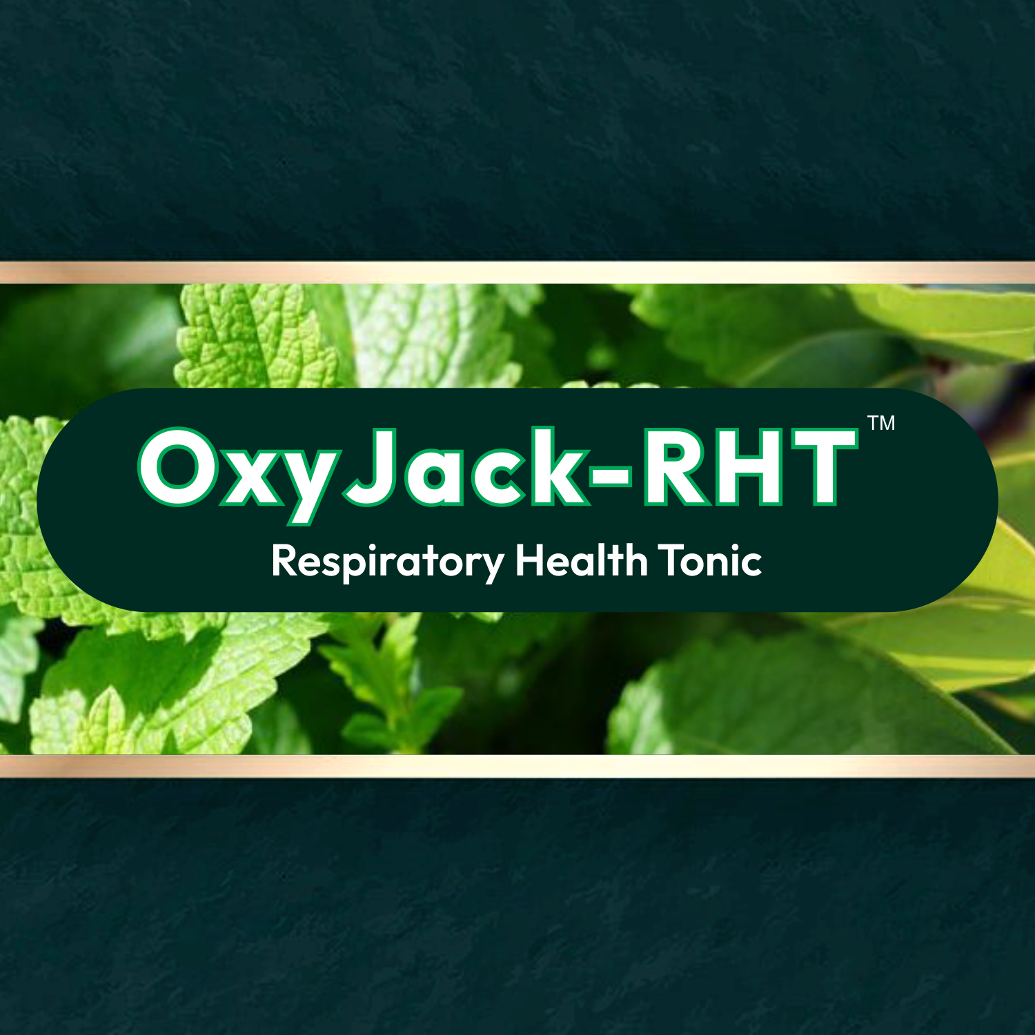 Oxyjack-RHT